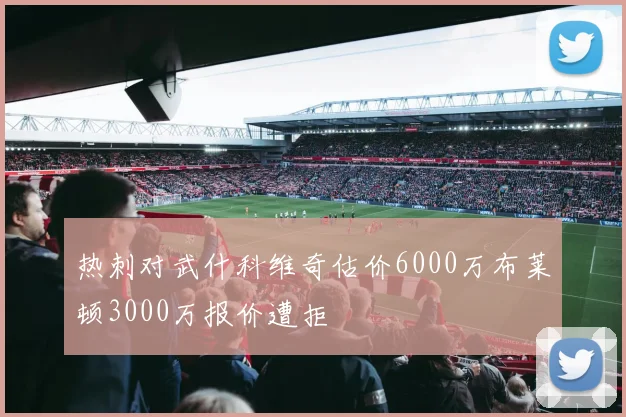 热刺对武什科维奇估价6000万布莱顿3000万报价遭拒
