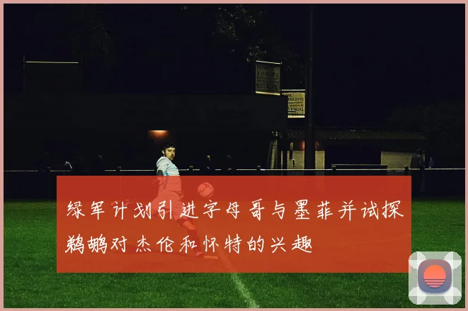 绿军计划引进字母哥与墨菲并试探鹈鹕对杰伦和怀特的兴趣